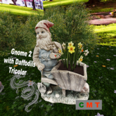 Gnome 2 with Daffodils Tricolor