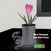 Silver Flowerpot with Pink Crocus