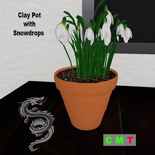 Clay Pot with Snowdrops