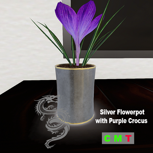 Silver Flowerpot with Purple Crocus