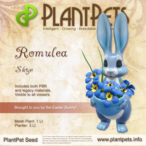 Plantpets Romulea *Skye* Texture