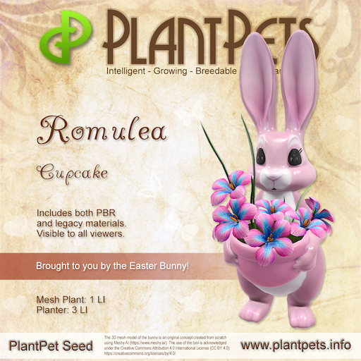 Plantpets Romulea *Cupcake* Texture