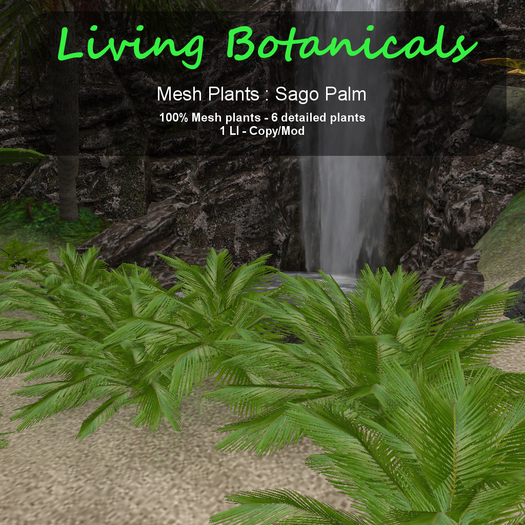 Inochi Botanicals - Mesh Plant "Sago Palm"