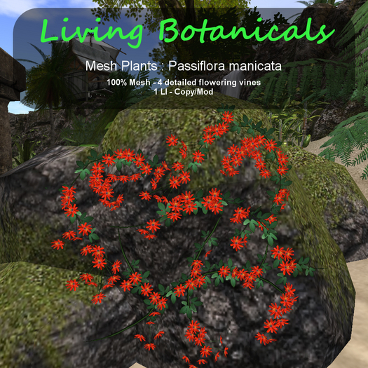 Inochi Botanicals - Mesh Plant "Passiflora manicata"