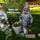 Gnome with Yellow Crocuses