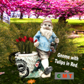 Gnome with Tulips in Red