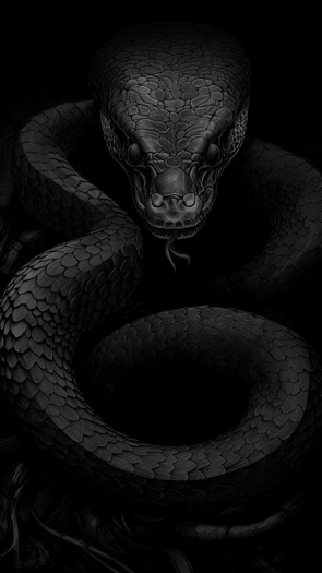 Black  Snake