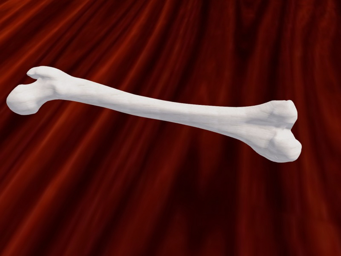 TM Femur
