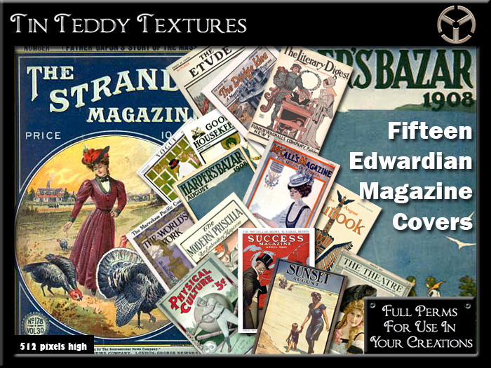 *Tin Teddy* Edwardian Magazine Textures