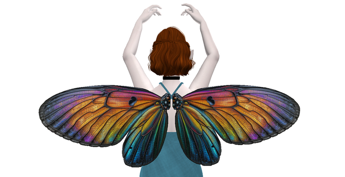 Dark Rainbow Butterfly WIngs