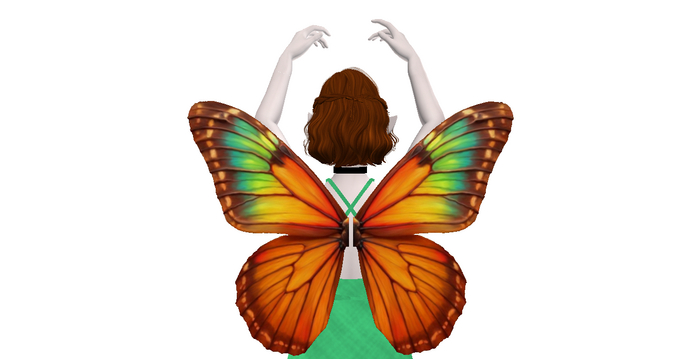 Rainbow Butterfly Wings