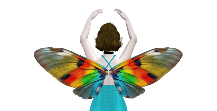 Tropical Butterfly Wings