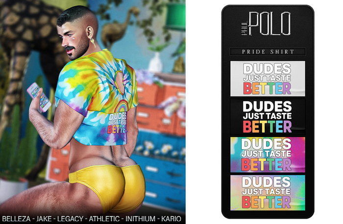 POLO PAUL - ETHAN PRIDE SHIRT - DEMO
