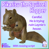 ~TL~ Pikarisu the Squirrel Hopper