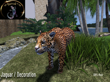 Barvak™ - Jaguar - Decoration - 100% Mesh 