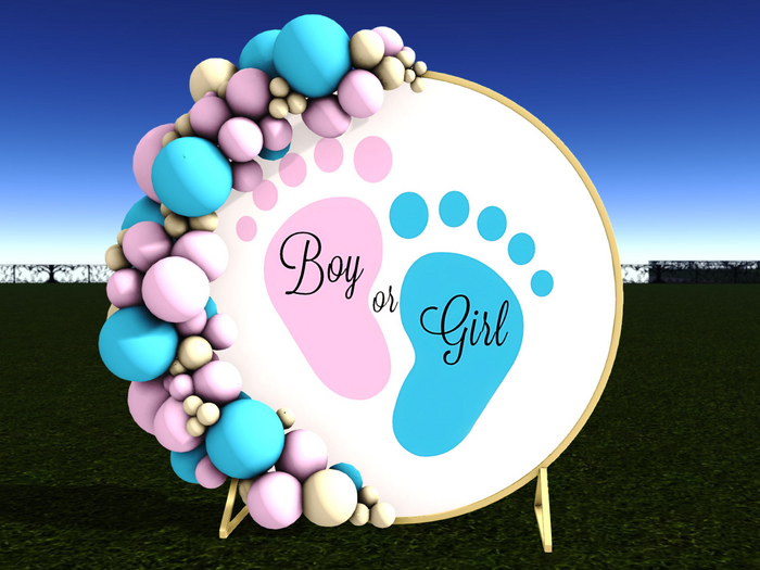 {mimi.yes} Boy or Girl Baby Shower Arch Balloon