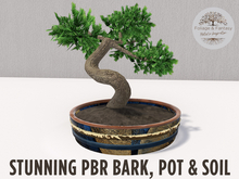 PBR Bonsai Tree