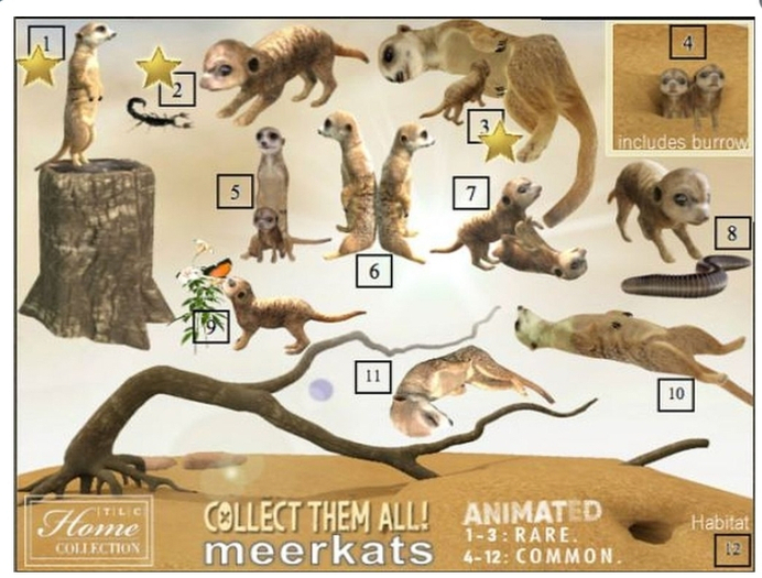 *TLC Meerkat gacha_7_Common