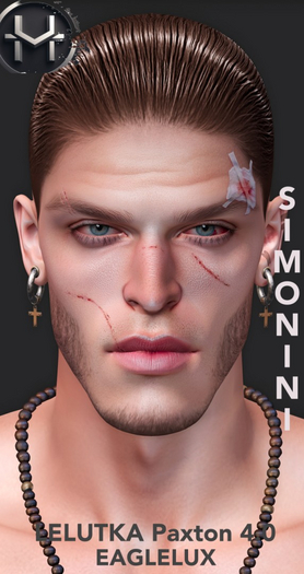 HOMINIS MAXIMUM - LELUTKA - PAXTON - SHAPE SIMONINI
