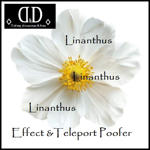 :::D&D::: Kawaii Linanthus Effect&TeleportPoofer
