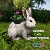 Rabbit White with Primroses Purple/White