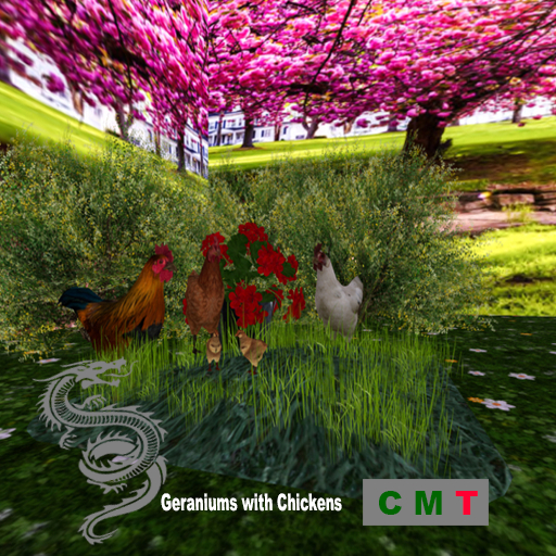 Geraniums with Chickens 