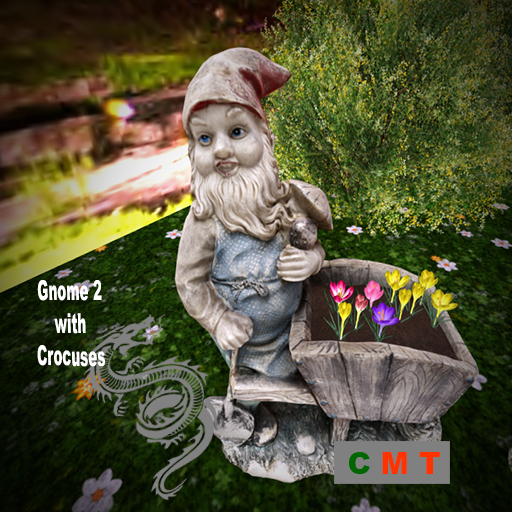 Gnome 2 with Crocuses
