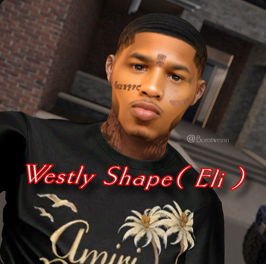 Talibans : Westly Eli Shape