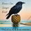Raven's Cove Rentals