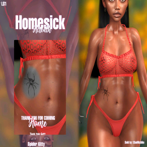 Homesick -  Spider Kitty (OLD)