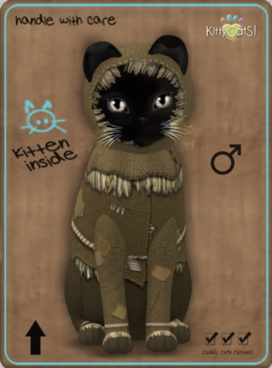 KittyCatS Box - ScareCrowS! 2 - Shabby Chic - Boy
