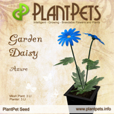 PlantPet Seed [Garden Daisy *Azure*] *Common*