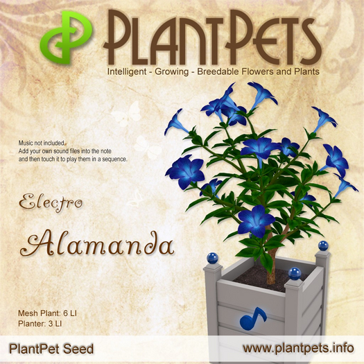 PlantPet Seed [Alamanda *Electro*] *Rare*