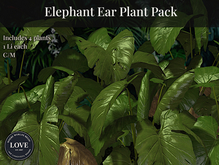 LOVE SUPERSTORE - ELEPHANT EAR PLANT PACK - Low Li Mesh