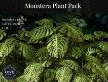 LOVE SUPERSTORE - TROPICAL MONSTERA PLANT PACK