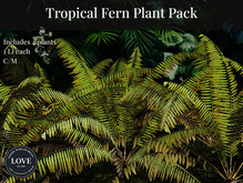 LOVE SUPERSTORE - TROPICAL FERN PACK 