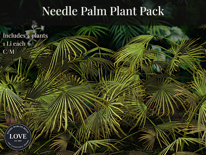 LOVE SUPERSTORE - NEEDLE PALM PACK 
