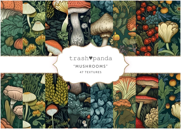 Trash Panda - Mushrooms