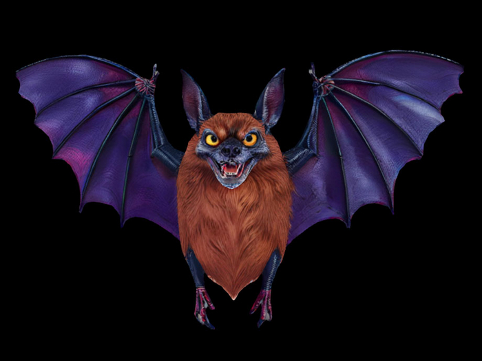 Halloween Bat