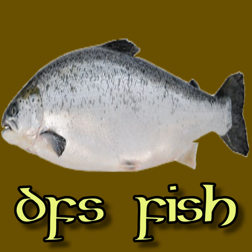 Fisch normal 12er-Pack