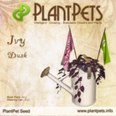 PlantPet Seed [Ivy *Dusk*] RARE ELITE