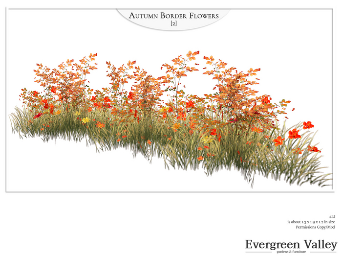 Autumn Border Flowers [2]