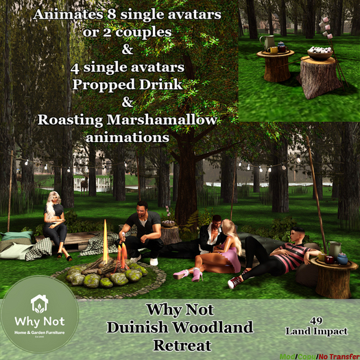 Why Not - Duinish Woodland Retreat-Boxed