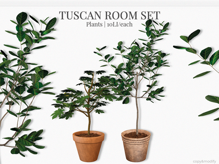 MINIMAL - Tuscan Room Set - Plants