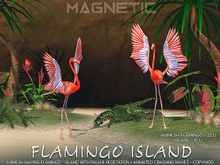 Magnetic - Flamingo Island