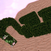 flory. - Hedge Yellow Flowers / ADD