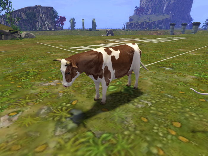 DFS Cow - Ayrshire