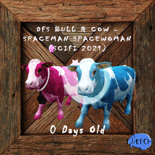 DFS Bull & Cow - Spaceman  Spacewoman (SciFi 2021)