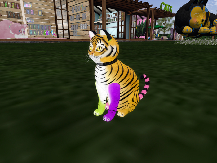 KittyCats - Rainbow tiger RARE