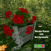 Wooden Planter with Red Geraniums